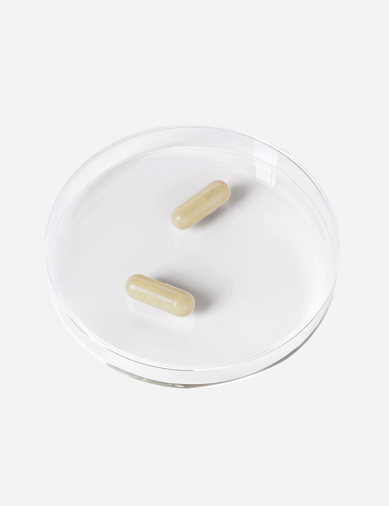 CA_Petri_Dish_Web_1x1_a83f61b3-b74e-4ff0-9314-0688def95b2d.png